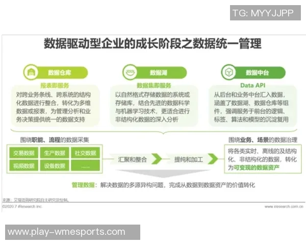 esports数据世界大师赛中BLG团队协作表现分析与点评探讨